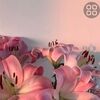 melflores057